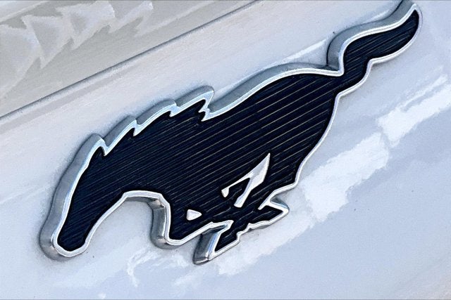 2021 Ford Mustang Mach-E Select