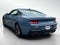 2025 Ford Mustang GT Premium Fastback