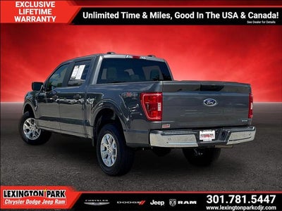 2023 Ford F-150 XL