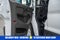 2023 Ford Transit Cargo Van Base