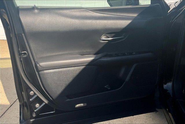 2019 Lexus UX UX 200 F SPORT