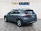 2024 Mercedes-Benz GLE GLE 350